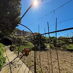 Fortuna Garden House *