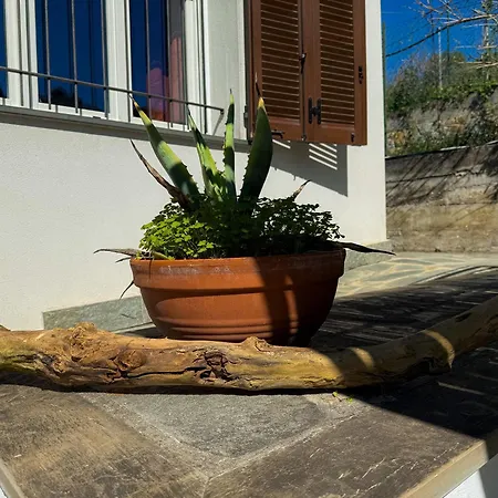 Fortuna Garden House