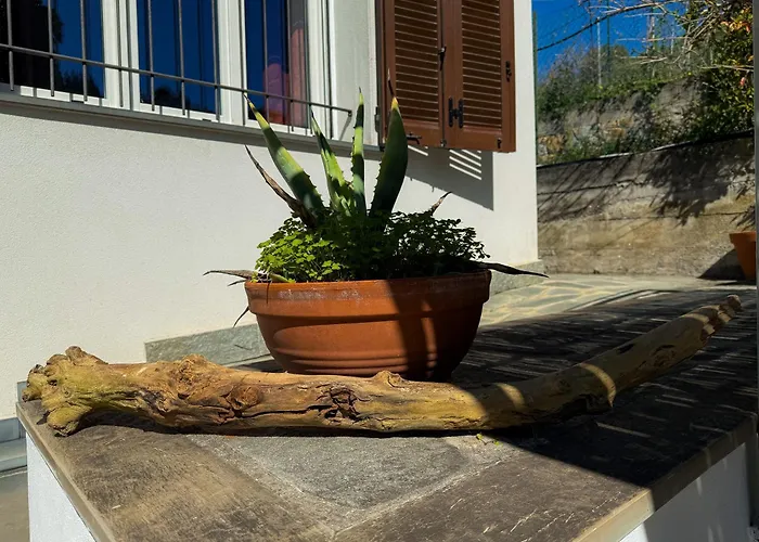 Fortuna Garden House